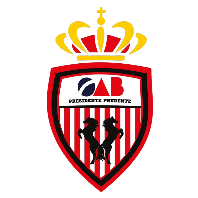 Parceiro 3